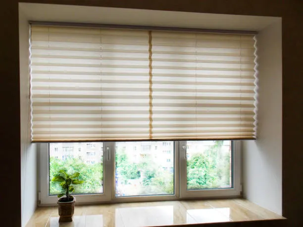 Dual Roller Blind